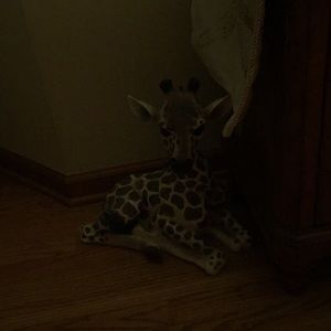 Meet your Posher, Donna